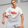 Sports * | Puma Switzerland Away '22/'23 Men'S Replica Jersey Nimbus Cloud-Harbor Mist